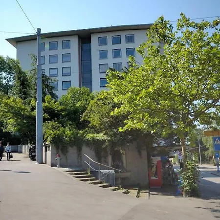 In The Center - Vineyard 22