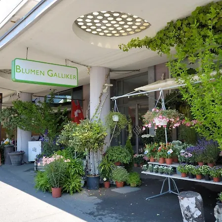 In The Center - Vineyard 22