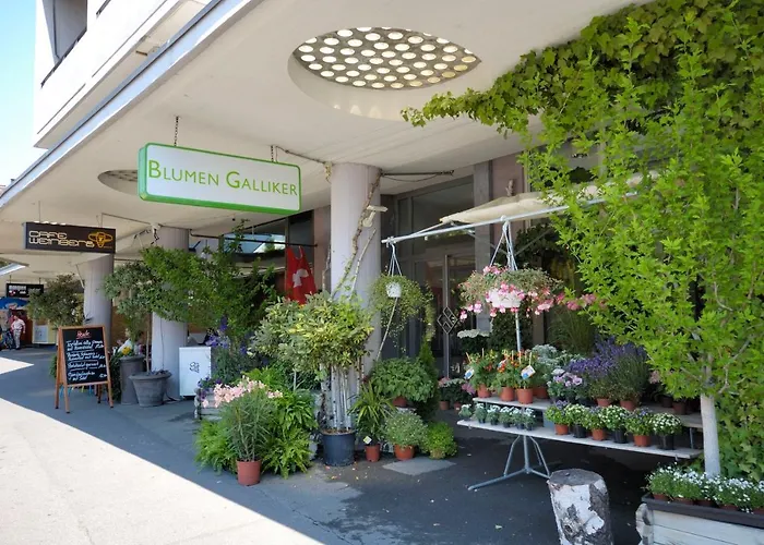 In The Center - Vineyard 22